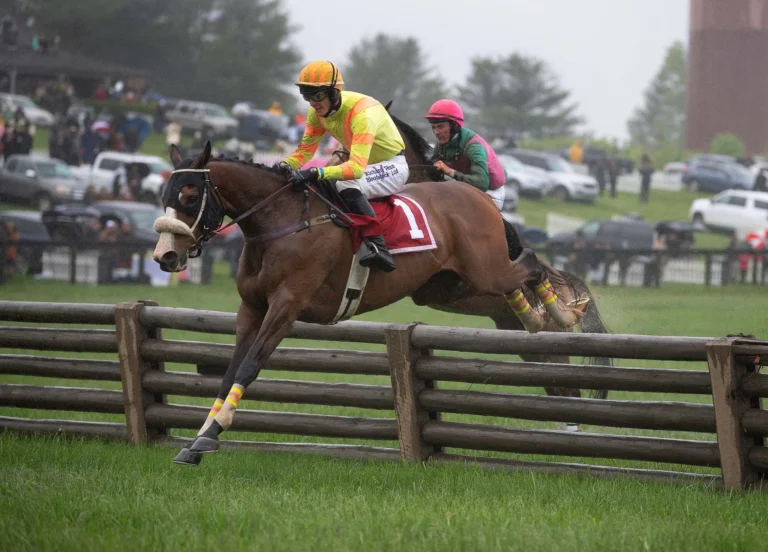 Andiamu-takes-jump-in-Virginia-Gold-Cup-9_TodMarks_LowRes-scaled-1