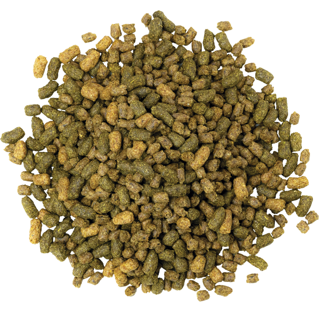 extruded horse feed
