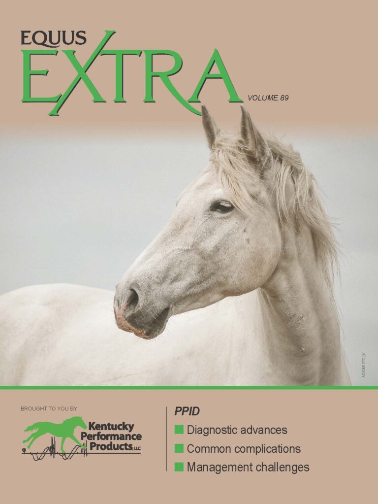 Gray horse head in profile on EQ Extra 89 cover