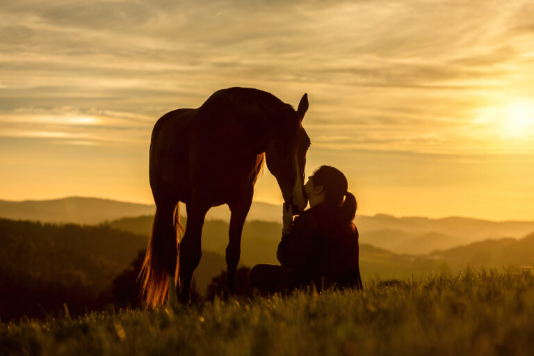 A young female equestrian and her arab berber horsein front of a romantic sunset landscape