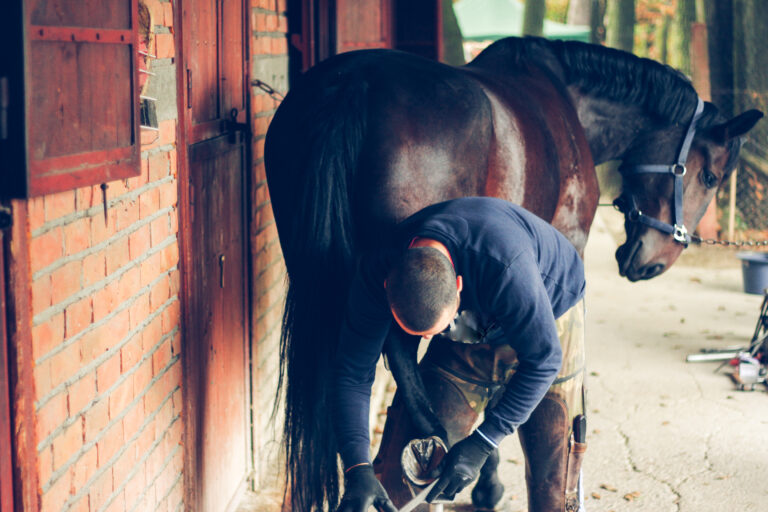 Horse's Hoof Manicure