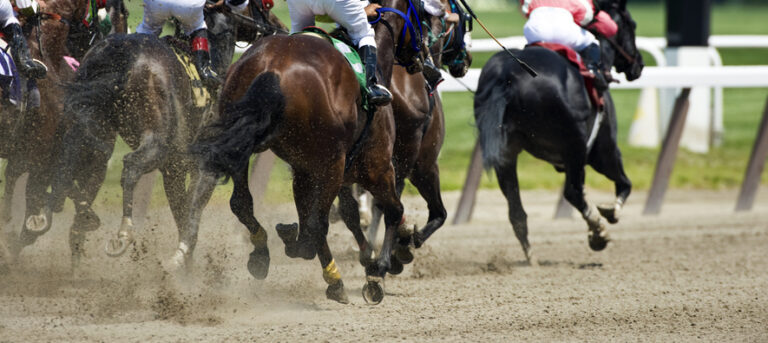 Horse Racing down the stretch they come