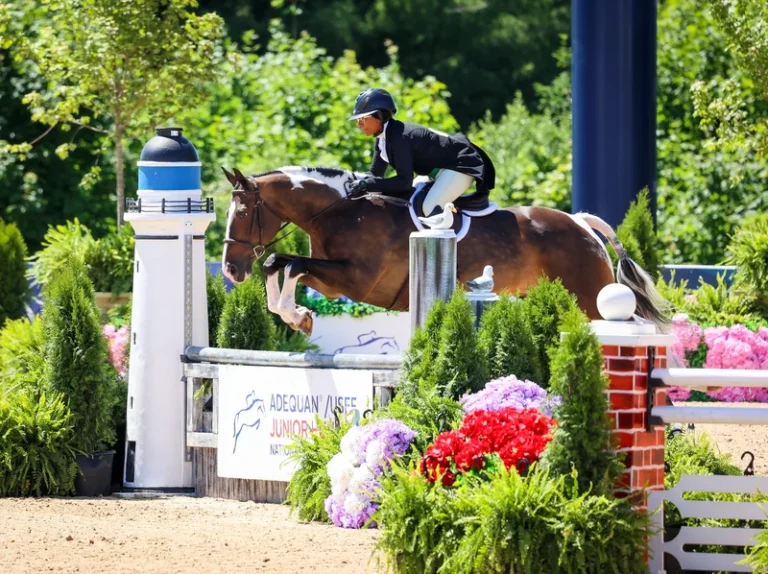 Karlie Dennis jumping horse over fence in show ring