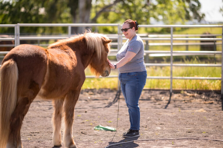 Woman strokes horse she is leading inside round pen