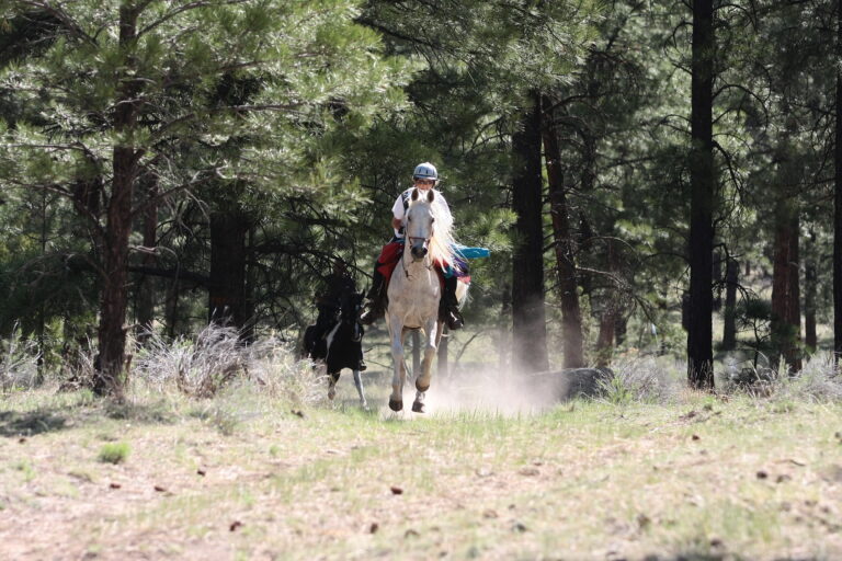 Jeanetta rides phoenix in endurance competition