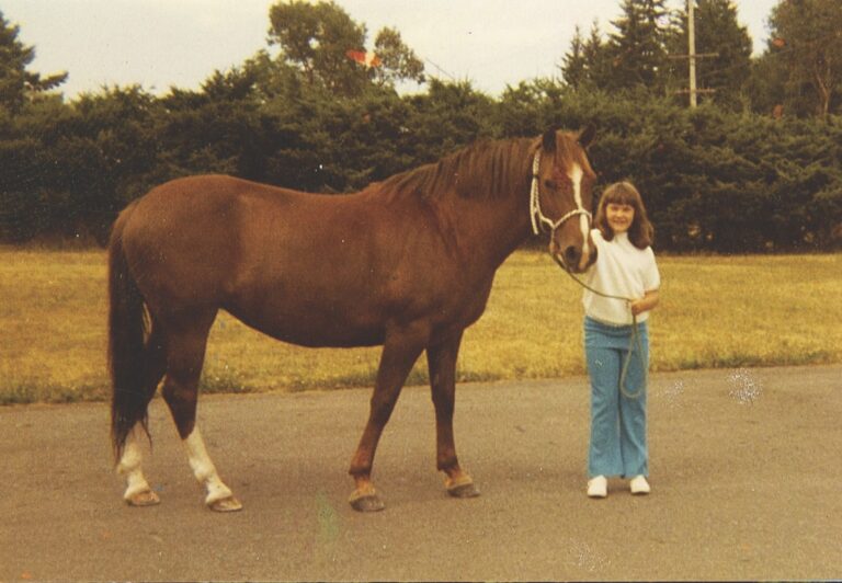 A young girl holds a haltered chestnut horse