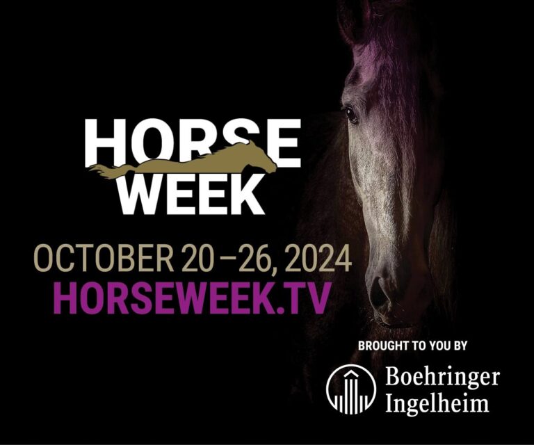 Horse Week 2024 graphic