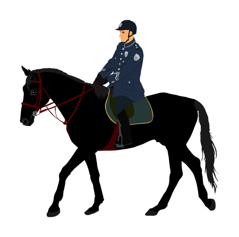 Elegant horse with jockey vector illustration isolated on white background. Police man riding horse. Hippodrome sport event