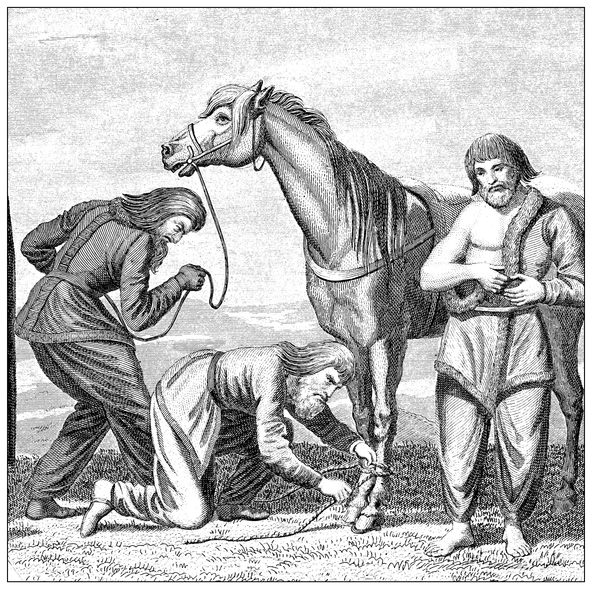 Antique engraving of three men tending to a horse