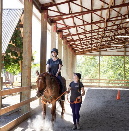 Woman leading horse and rider in arena