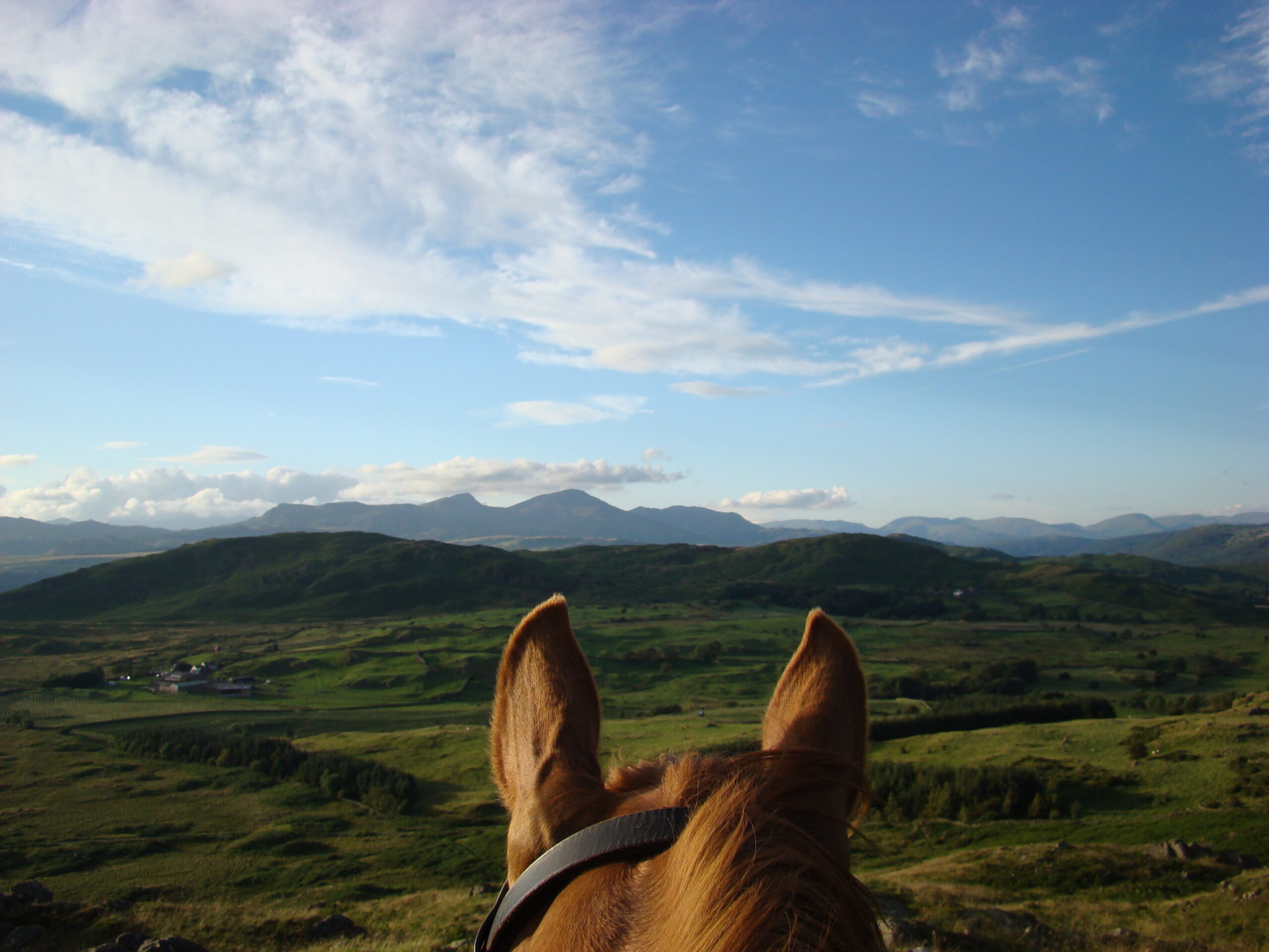 Between-the-ears shot of a distant horizon
