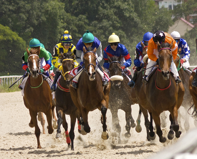 Racehorses on a dirt track galloping toward the camera