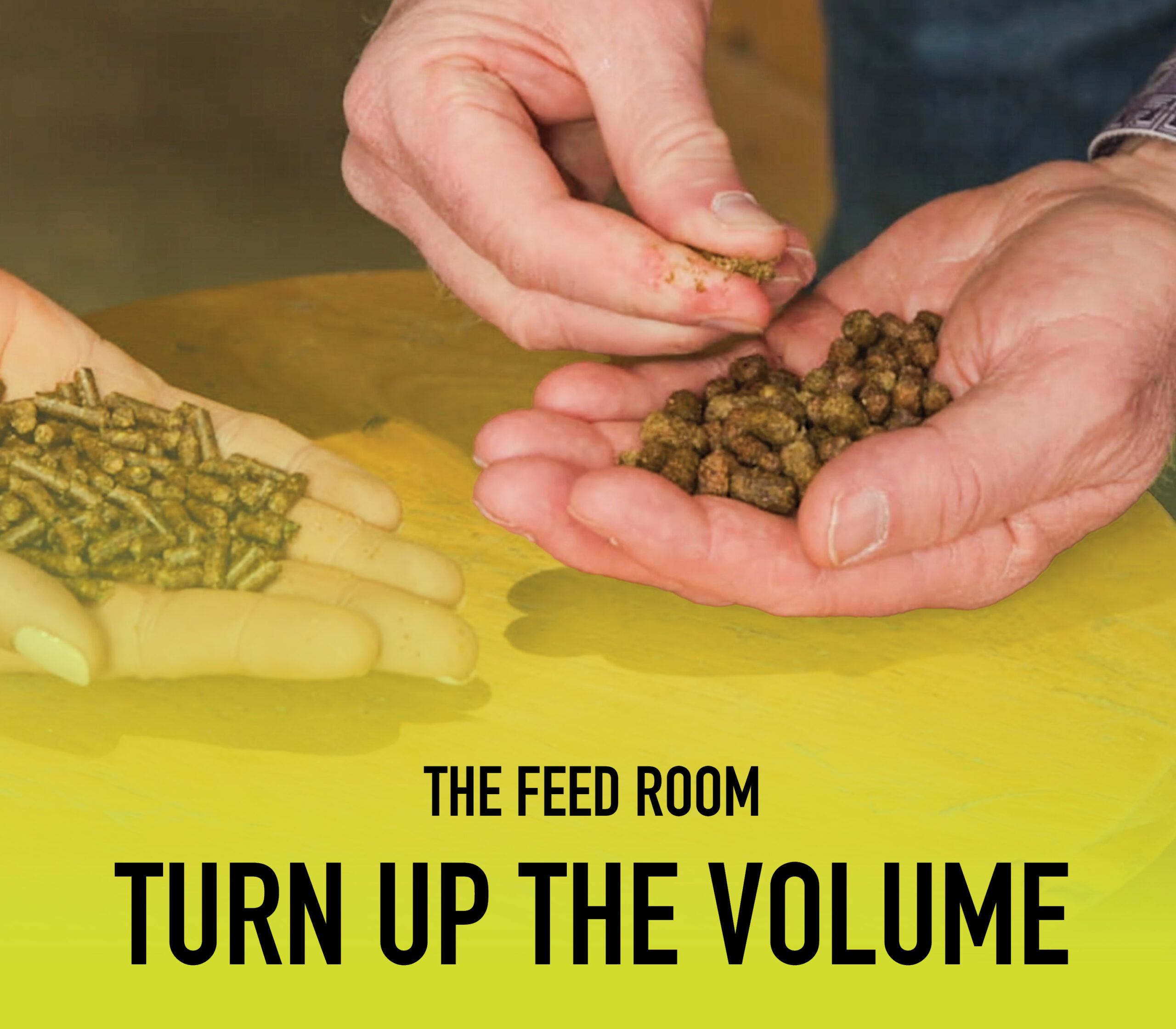 TheFeedRoom_VimeoCover_Black_3000 x 2625