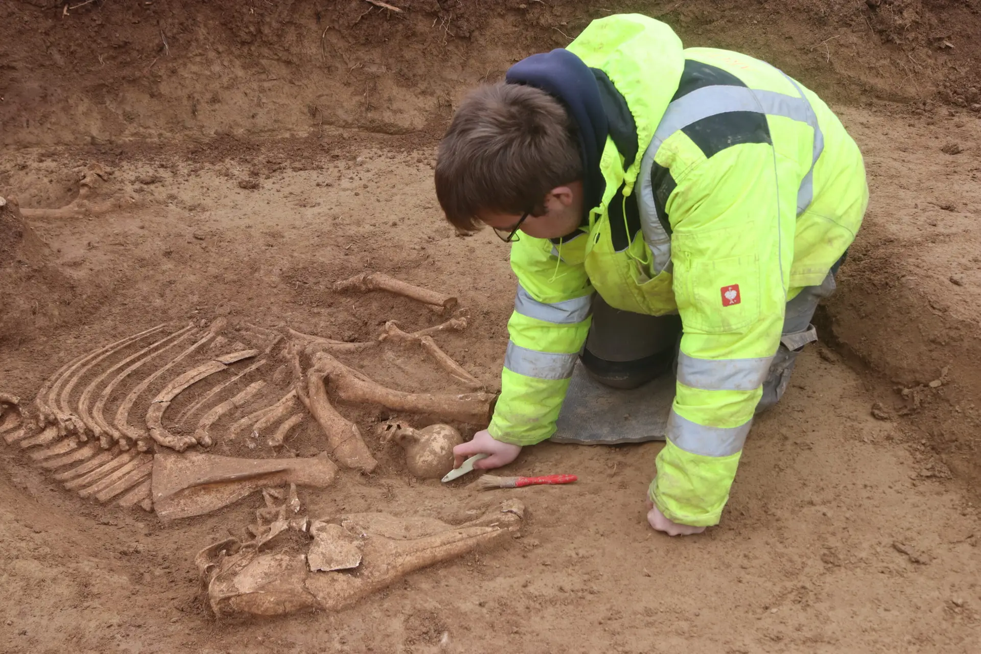 Archaeologist excavating site of Roman cavalry horse cemetery in southern Germany