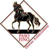 Paso Fino Horse Paso Fino Horse