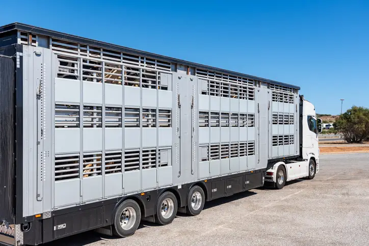 Double-deck livestock trailer/truck, side view