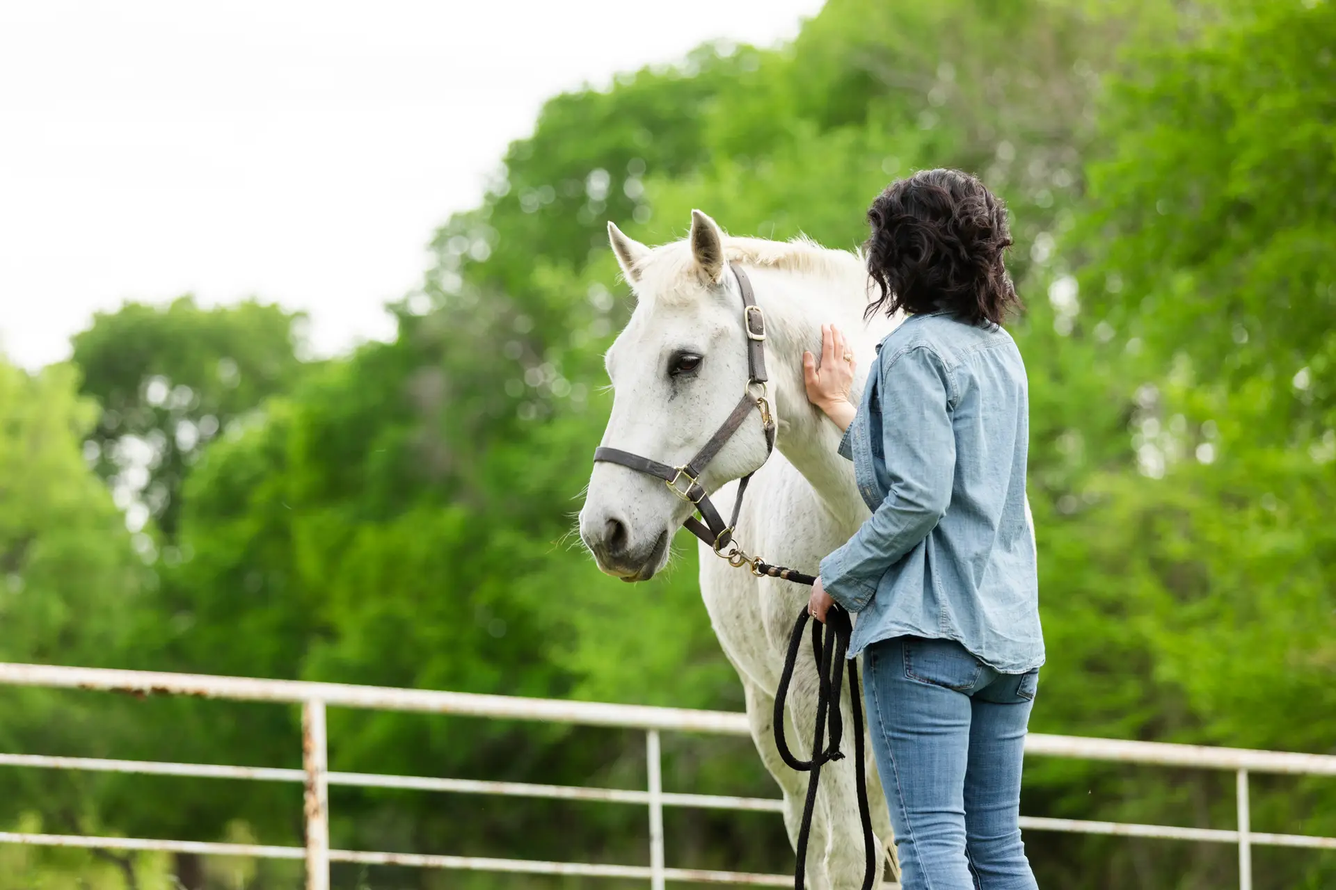 Woman with back turned to camera holds haltered gray horse by a lead while petting its neck