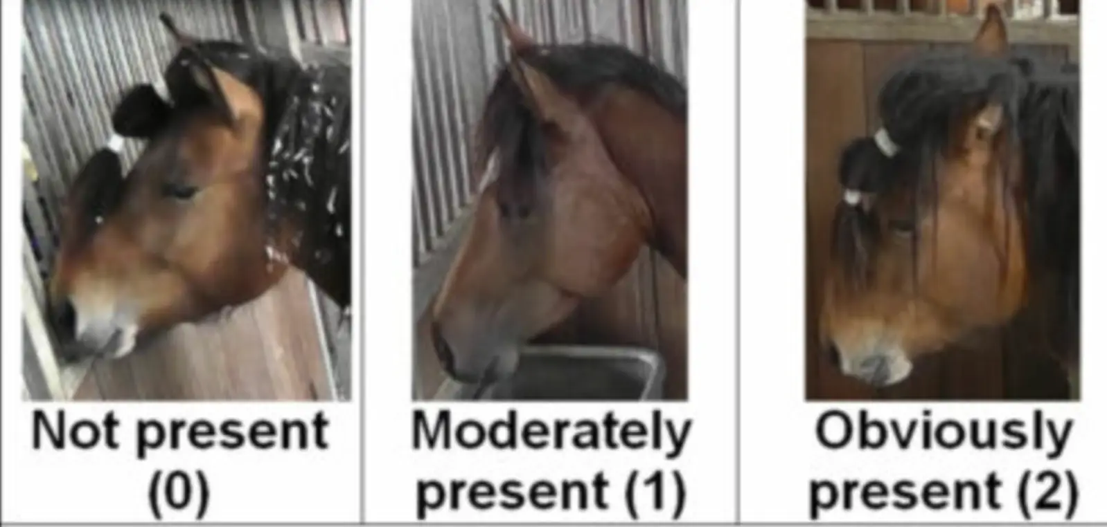 Strained mouth is clearly visible when upper lip is drawn back and lower lip causes a pronounced "chin".
