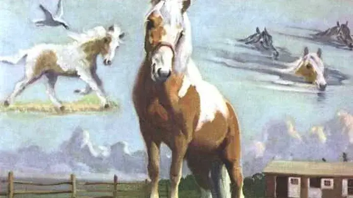 Wesley Debbis montage of images of Misty of Chincoteague