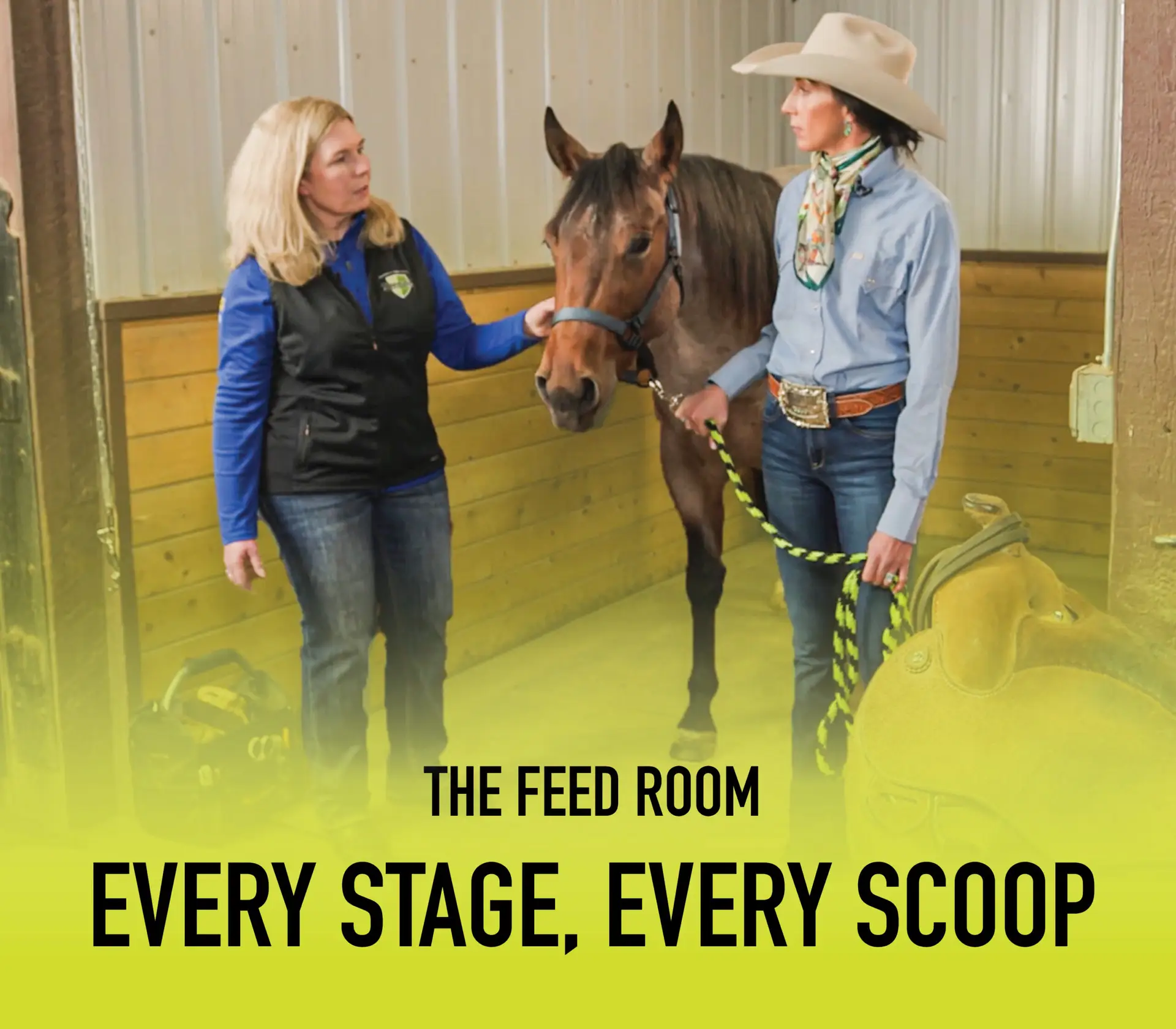 TheFeedRoom_VimeoCovers_LifeStages_3000 x 2625