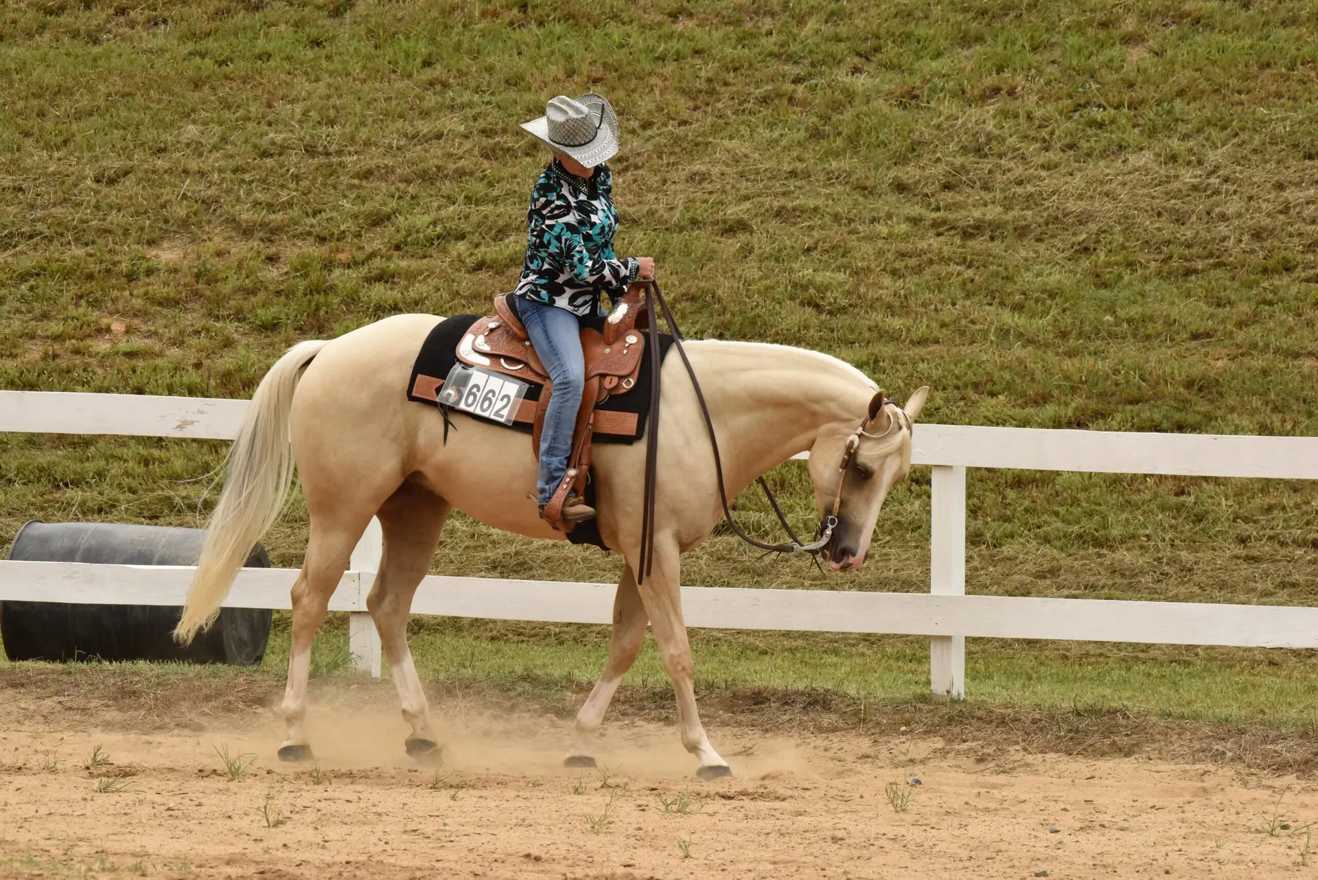 Summer western horse show