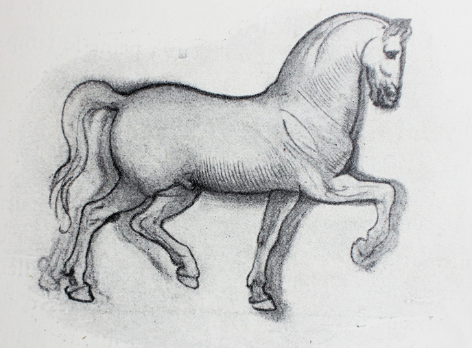Classical drawing of horse trotting