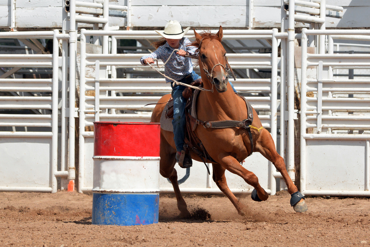 Young cowgirl and chestnut horse round barrel at rodeo event