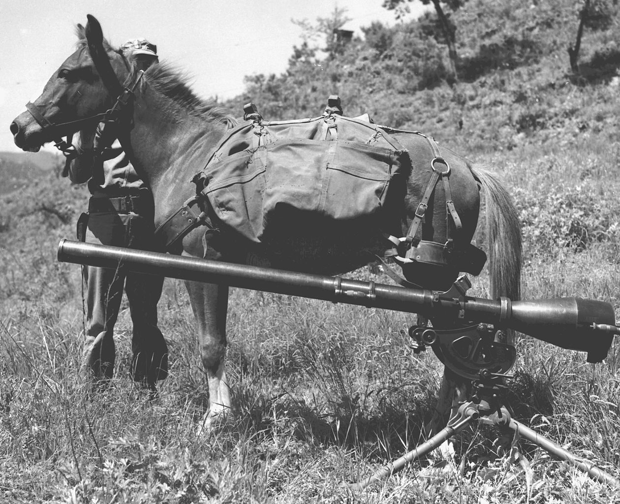 Black and white image of horse in mlitary pack gear with weapon in wartime