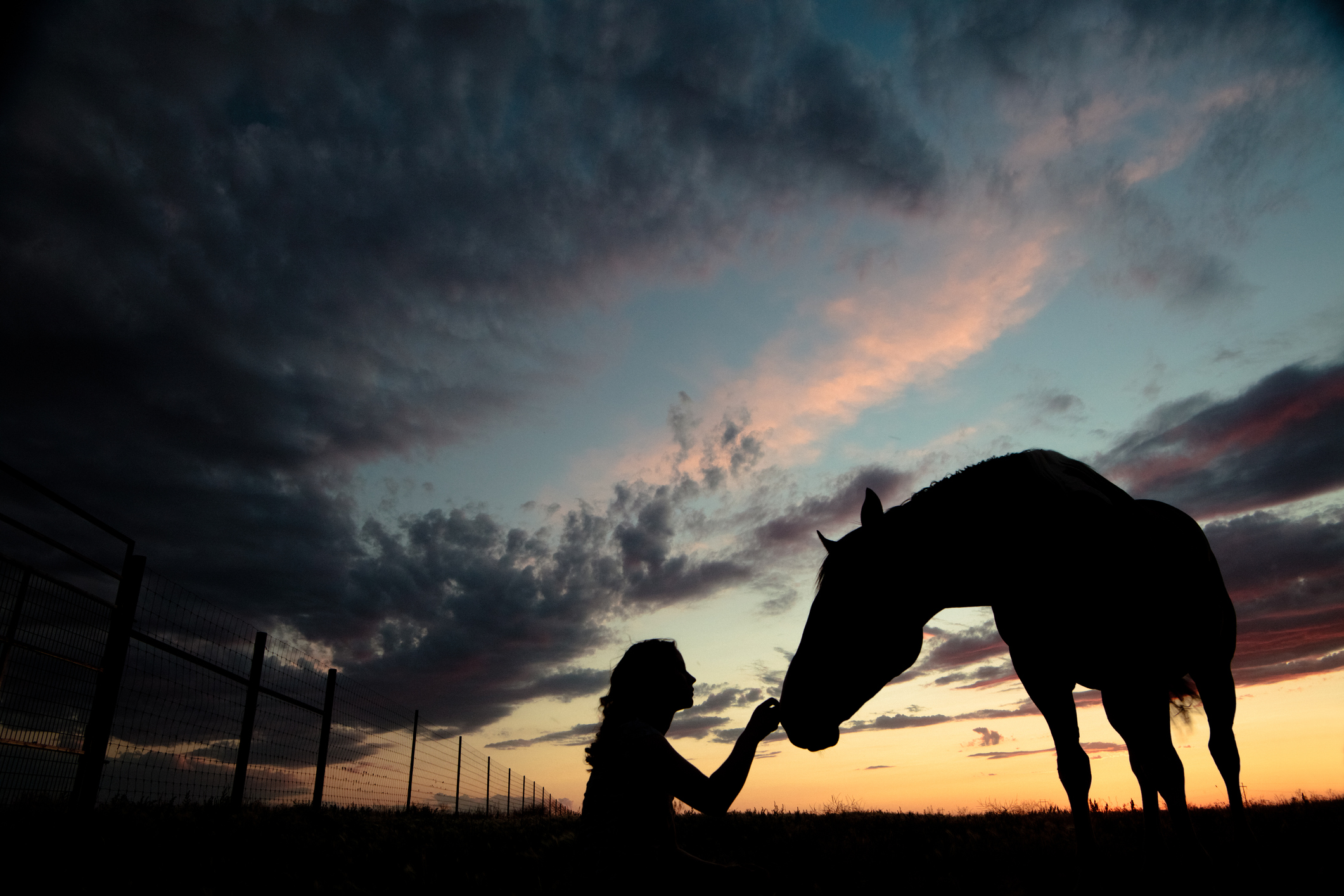 silhouette of woman stroking a horse with the sunset in the background