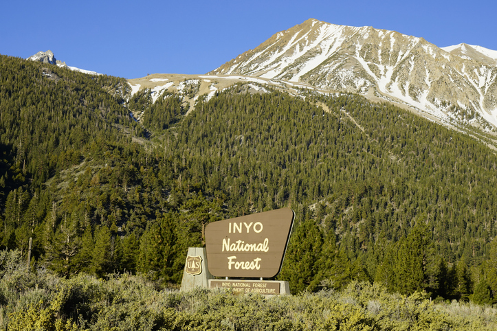 image of sign for Inyo National Forest with mountain backdrop