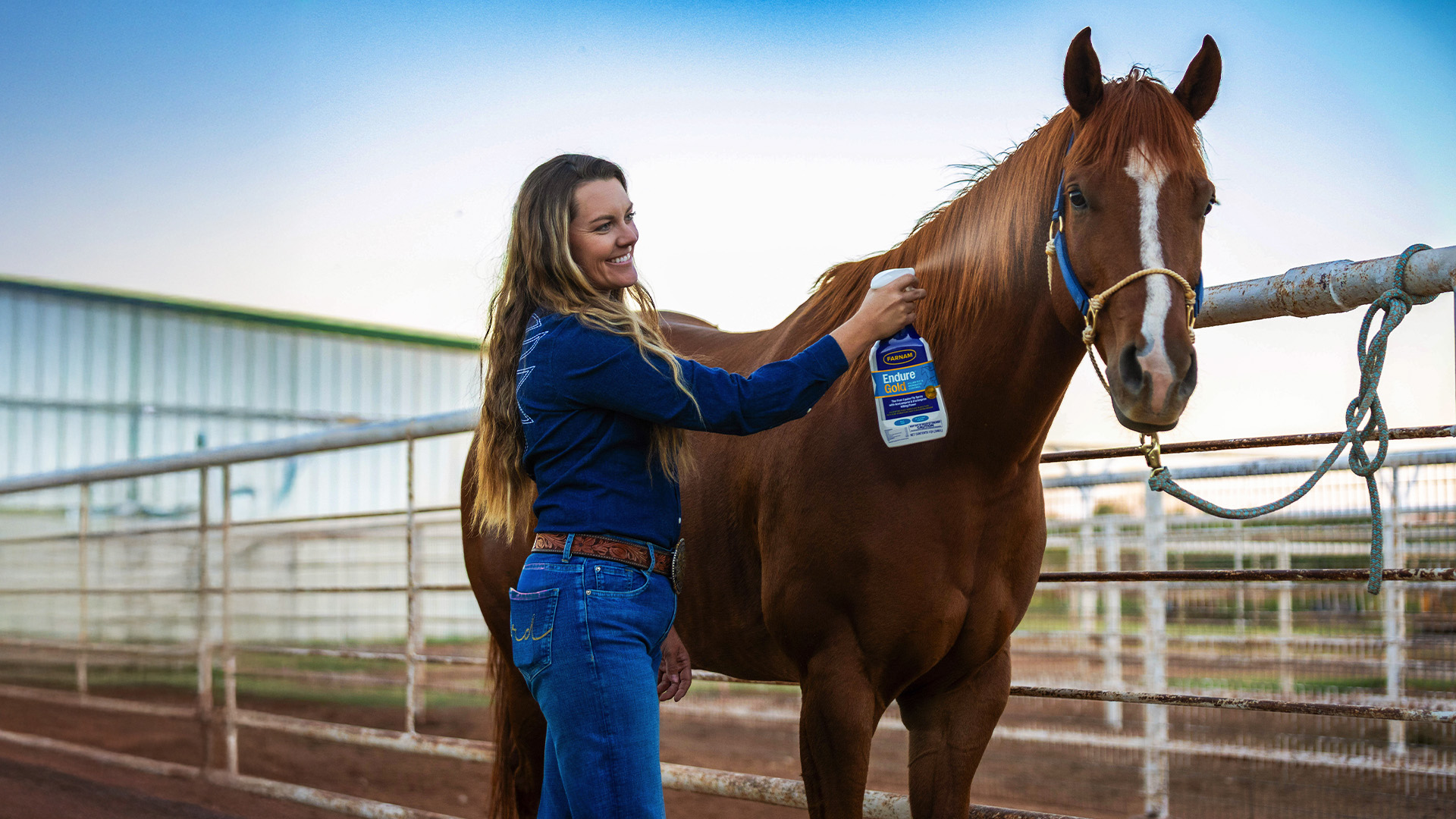Horse Owner Spraying Horse with Endure Gold Fly Protection
