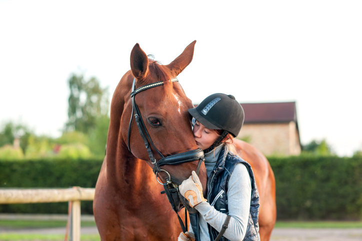 Girl in riding helmet kissing chestnut horse with bridle on the nose