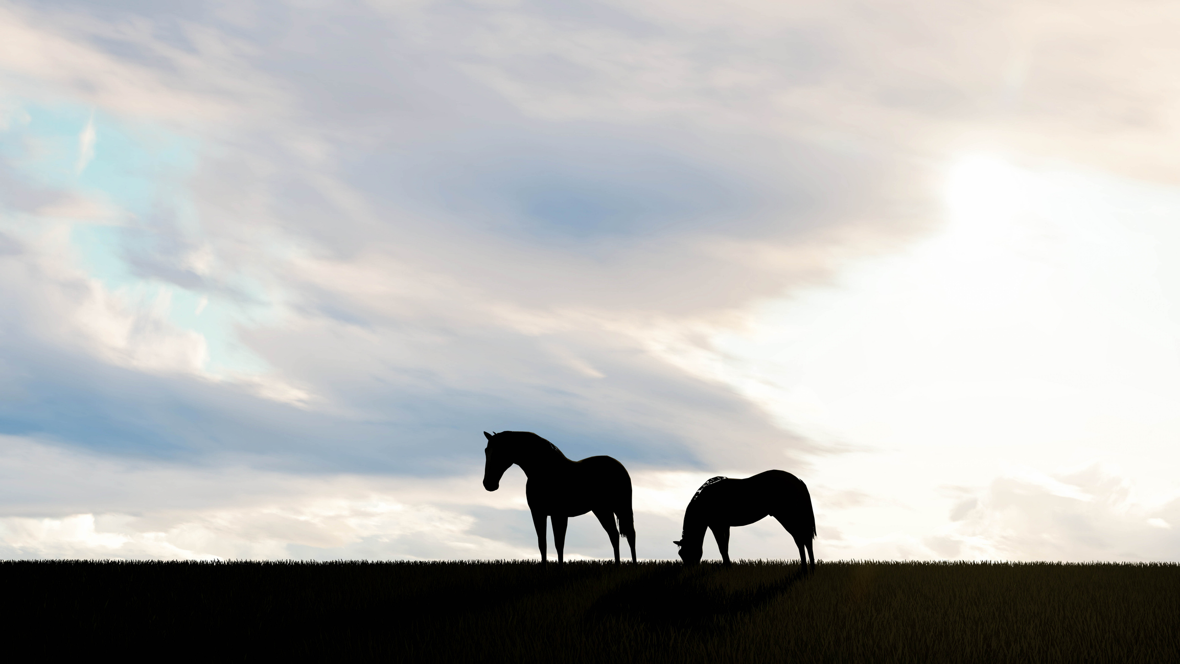 Two horses Landscape at Sky Background 3D Rendering