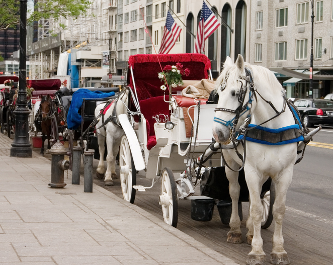 Horse Carriages