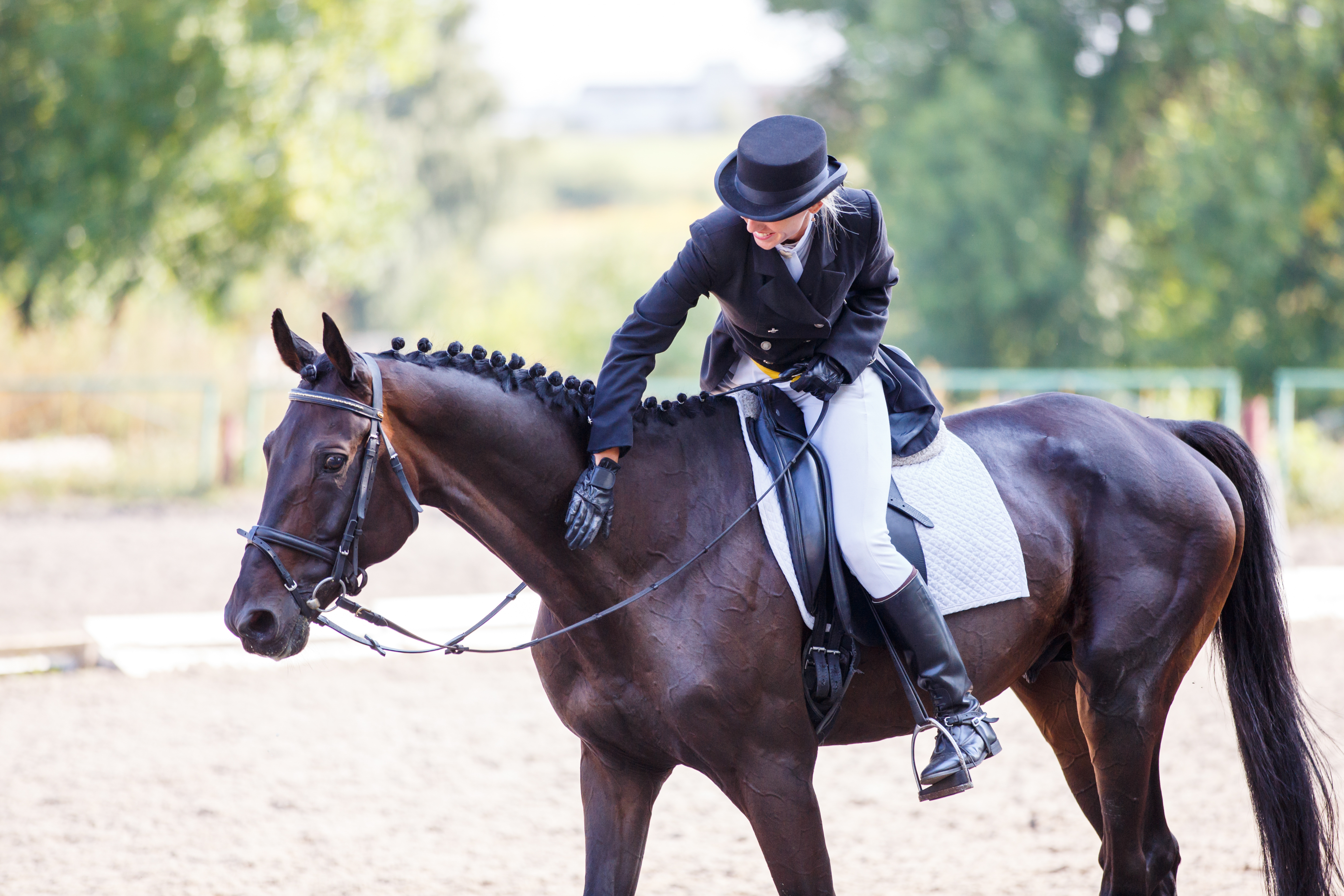 A dressage rider patting her horse on the neck.