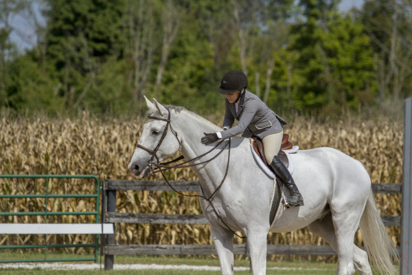 A hunter show rider giving her grey horse a pat on the neck. 