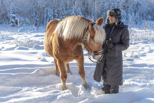 A man in a long coat standing with a horse in the snow. 