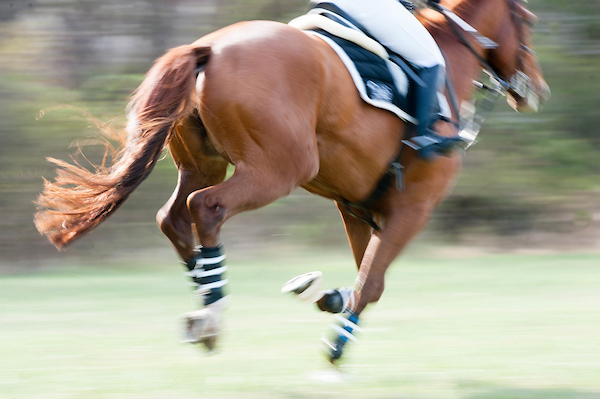 A horse galloping with a rider onboard.