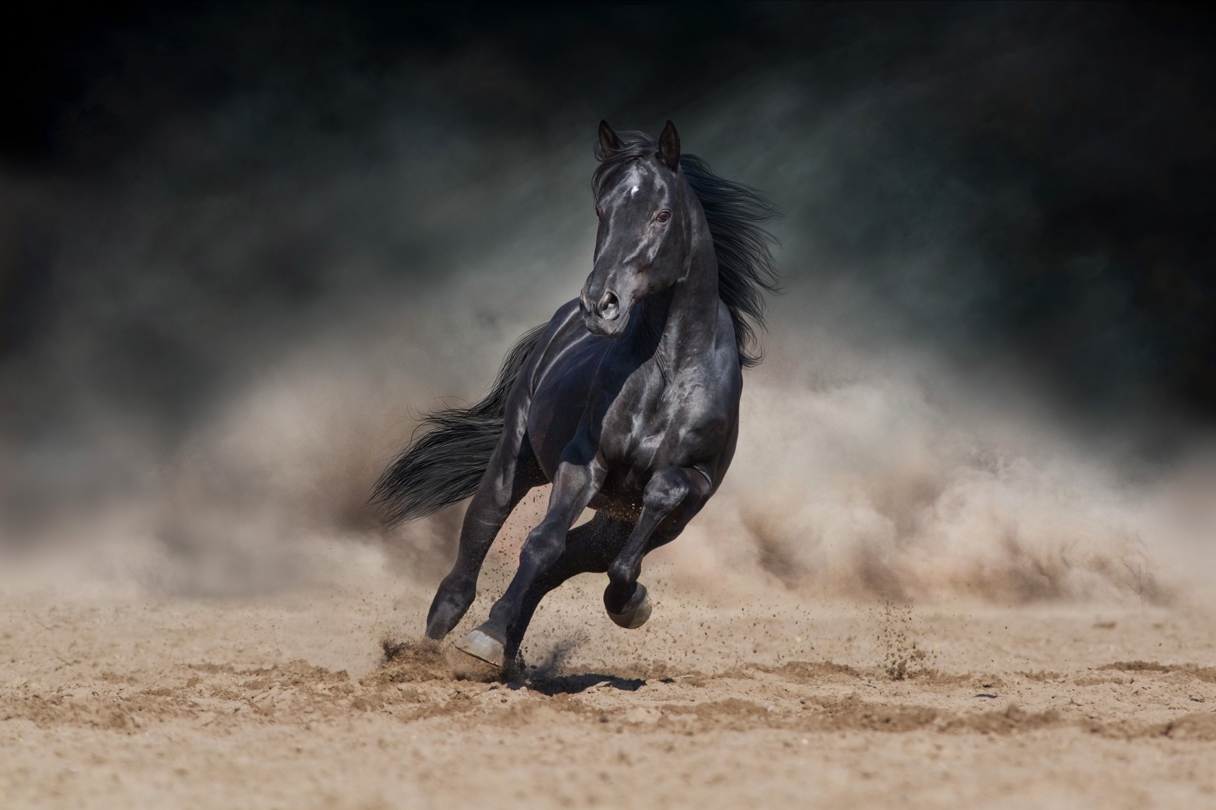 A black horse running on a sandy surface