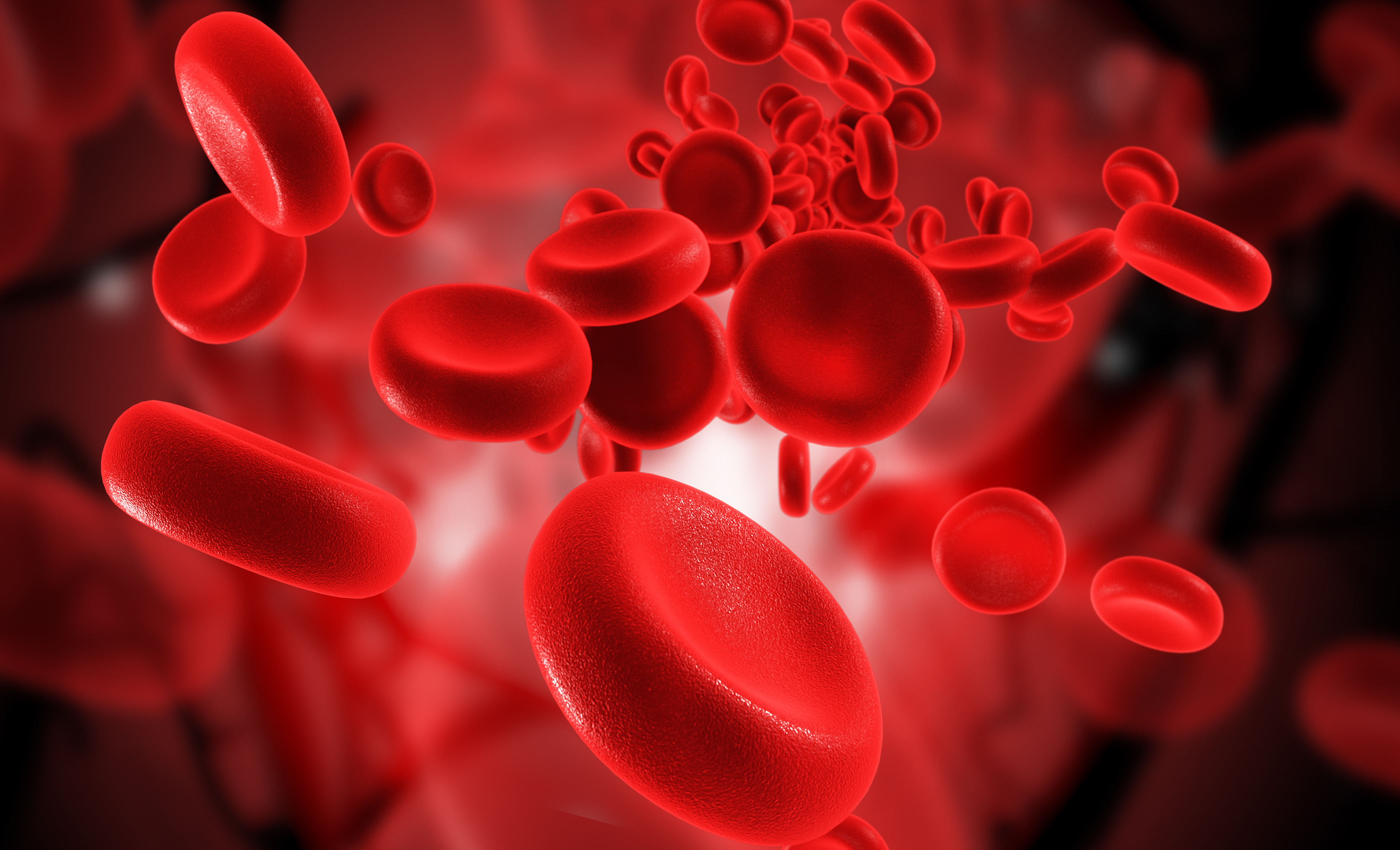 Illustration of read blood cells 