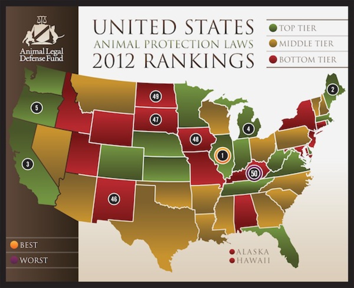 rate-your-state-kentucky-once-again-named-worst-state-for-animal-laws