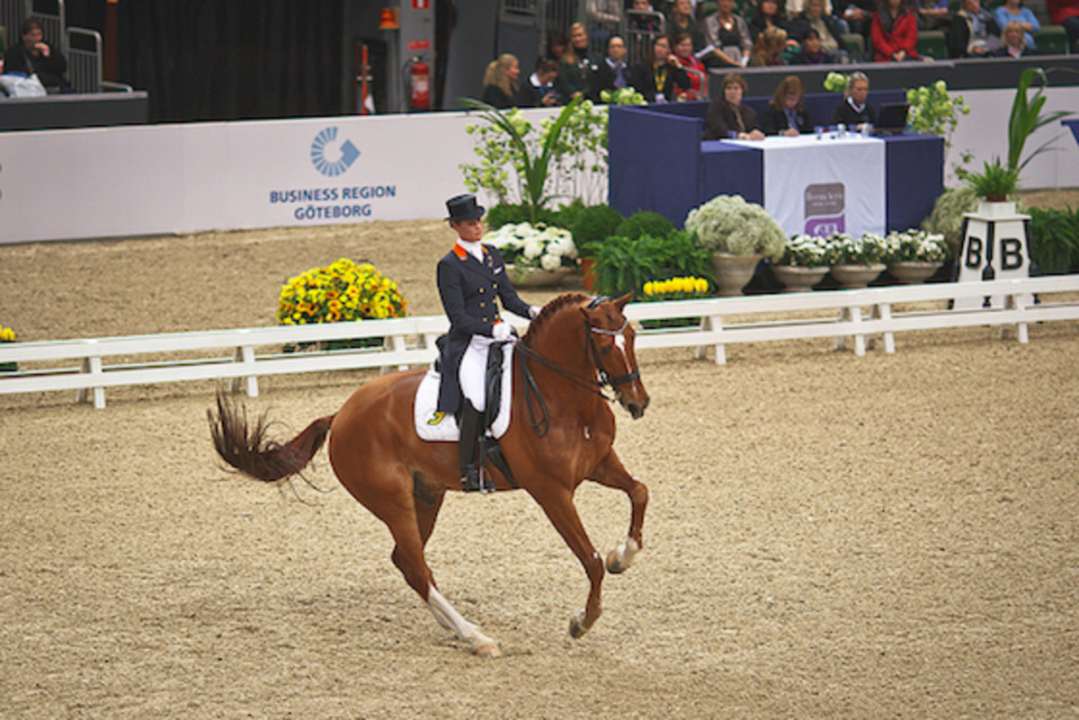 Fresh Blood Fei General Assembly Approves Revised Dressage Blood Rule