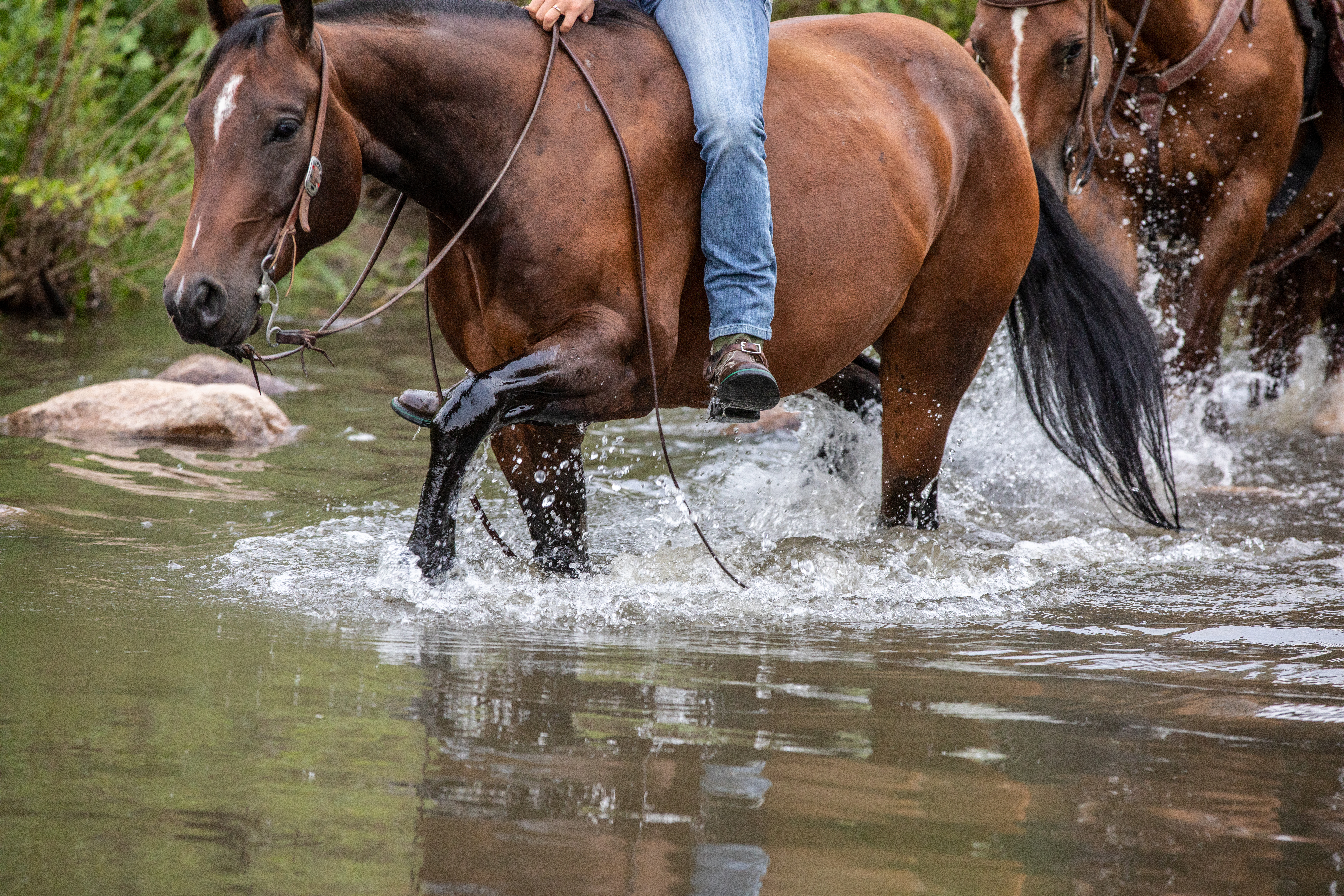 A horse being ridden through a stream, splashing water. 