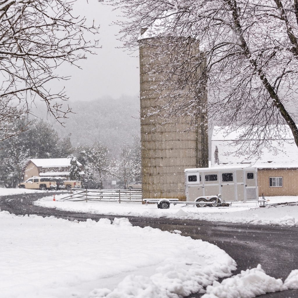 A horse farm in winter in the snow, including barns, truck and trailer. 