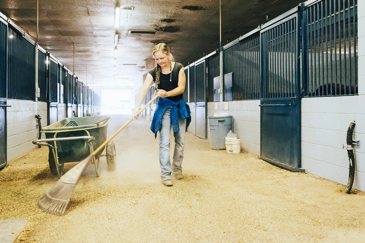 A woman raking a barn aisle