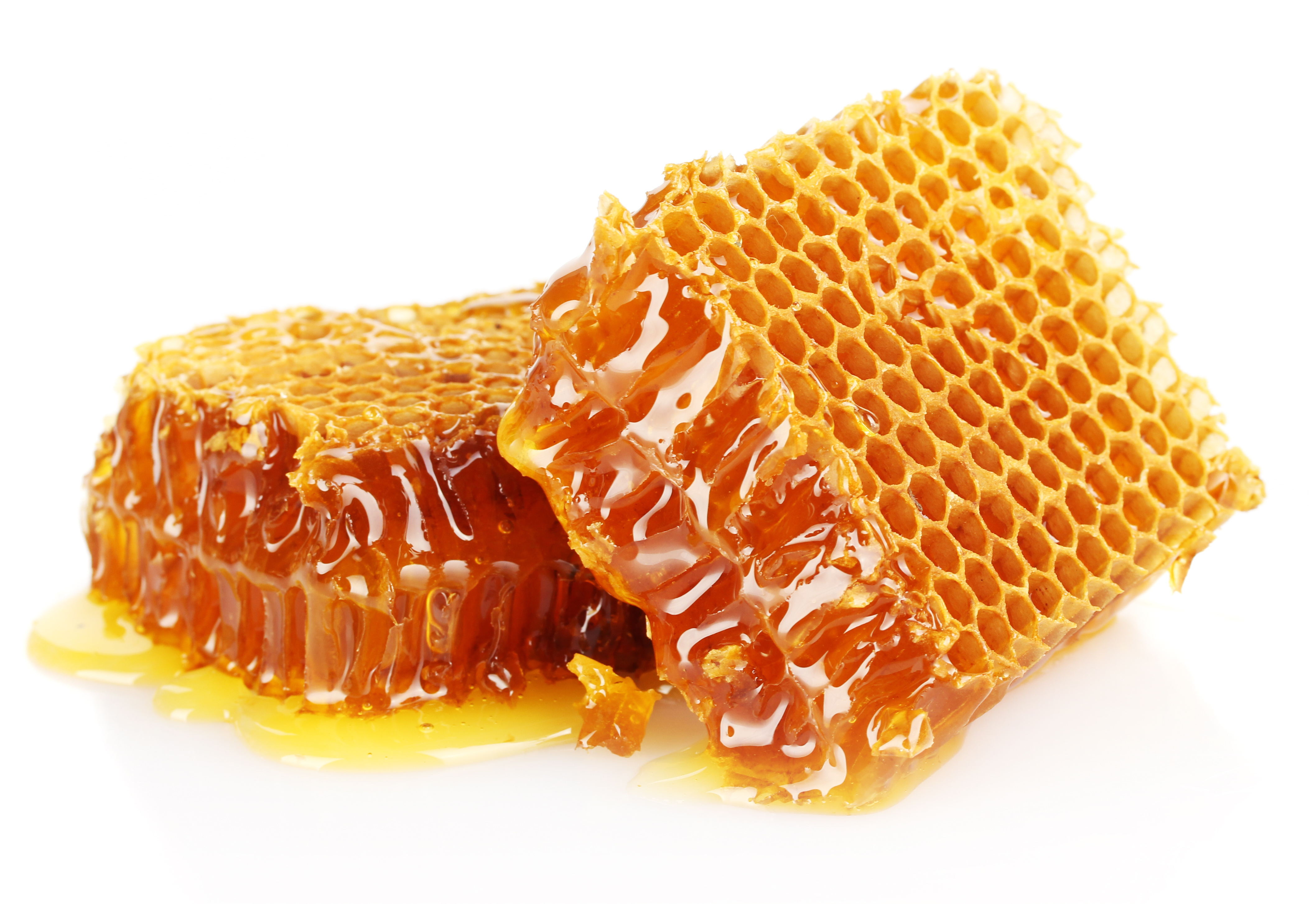 A honeycomb oozing honey