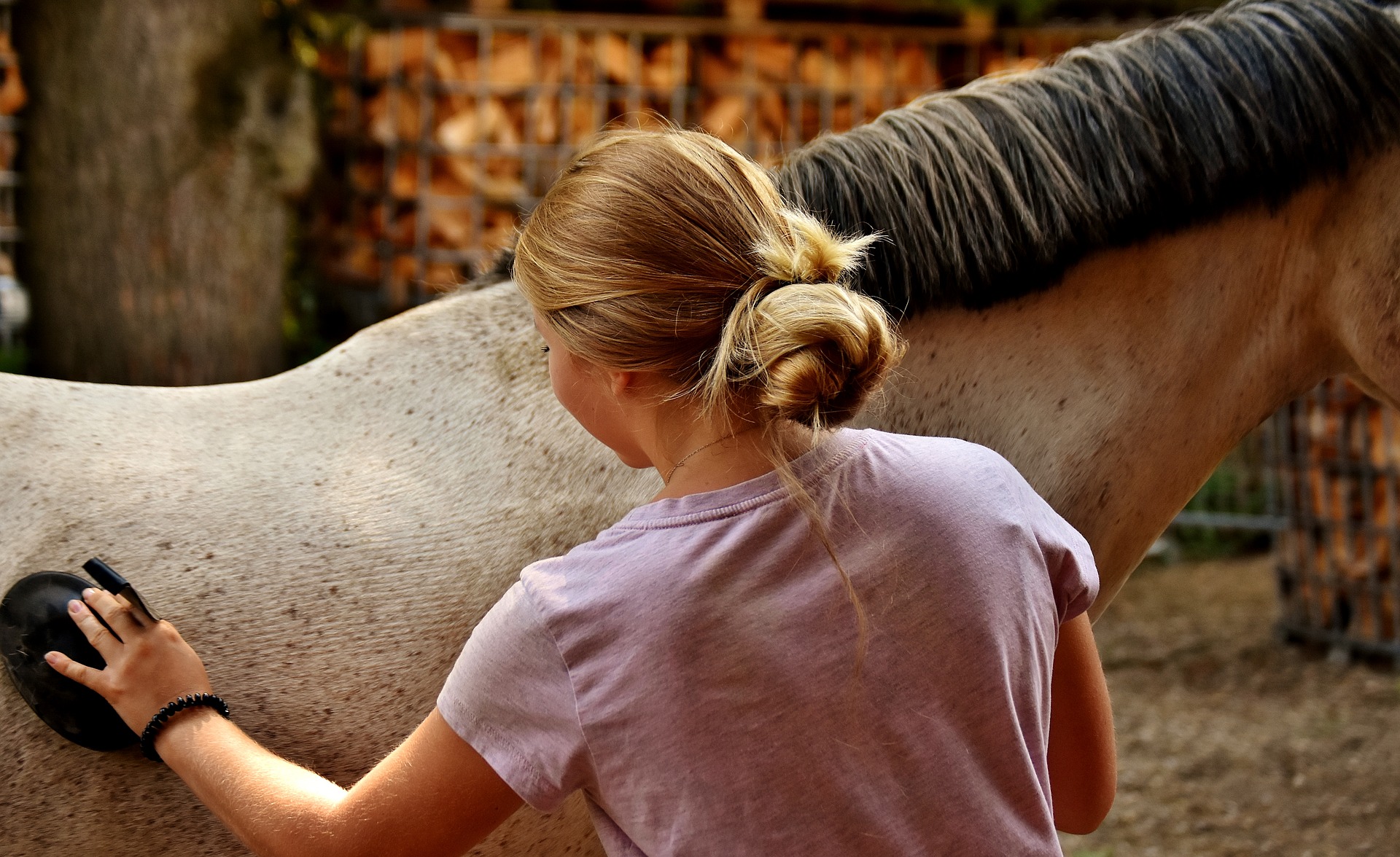 A girl brushing a horse 
