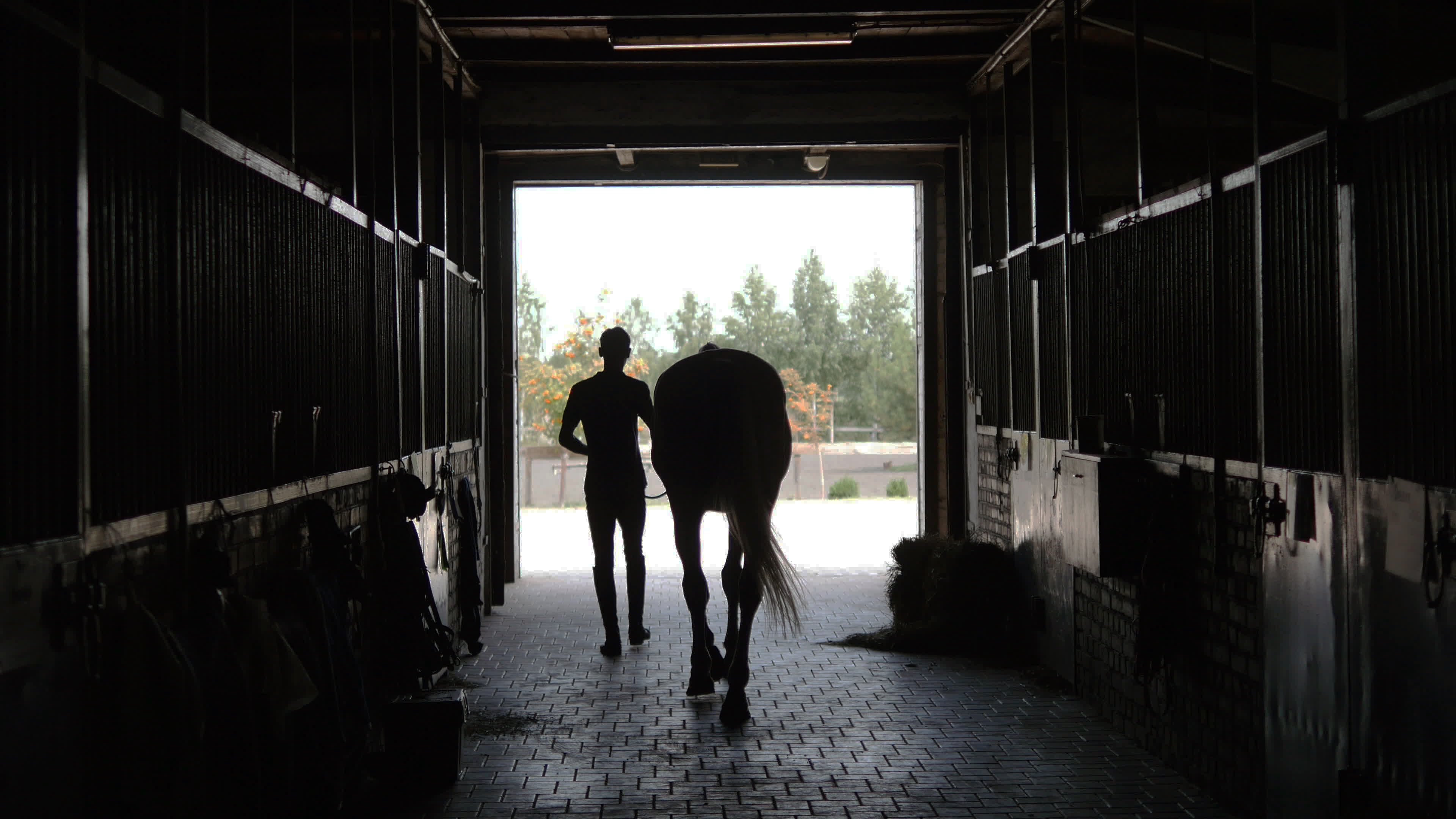 A person walking a horse through a barn, seen in the shadows. 