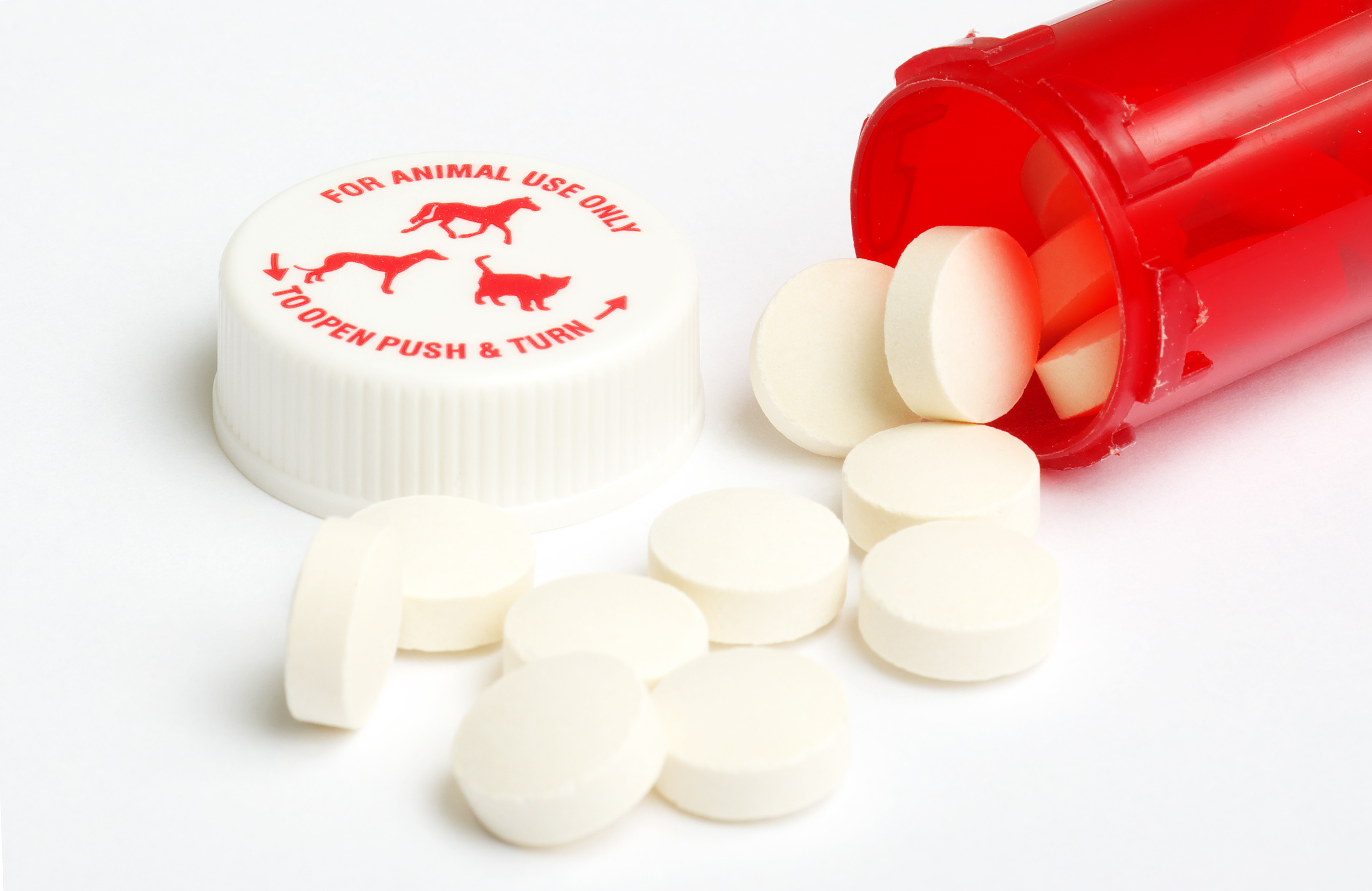 A bottle of veterinary medications.