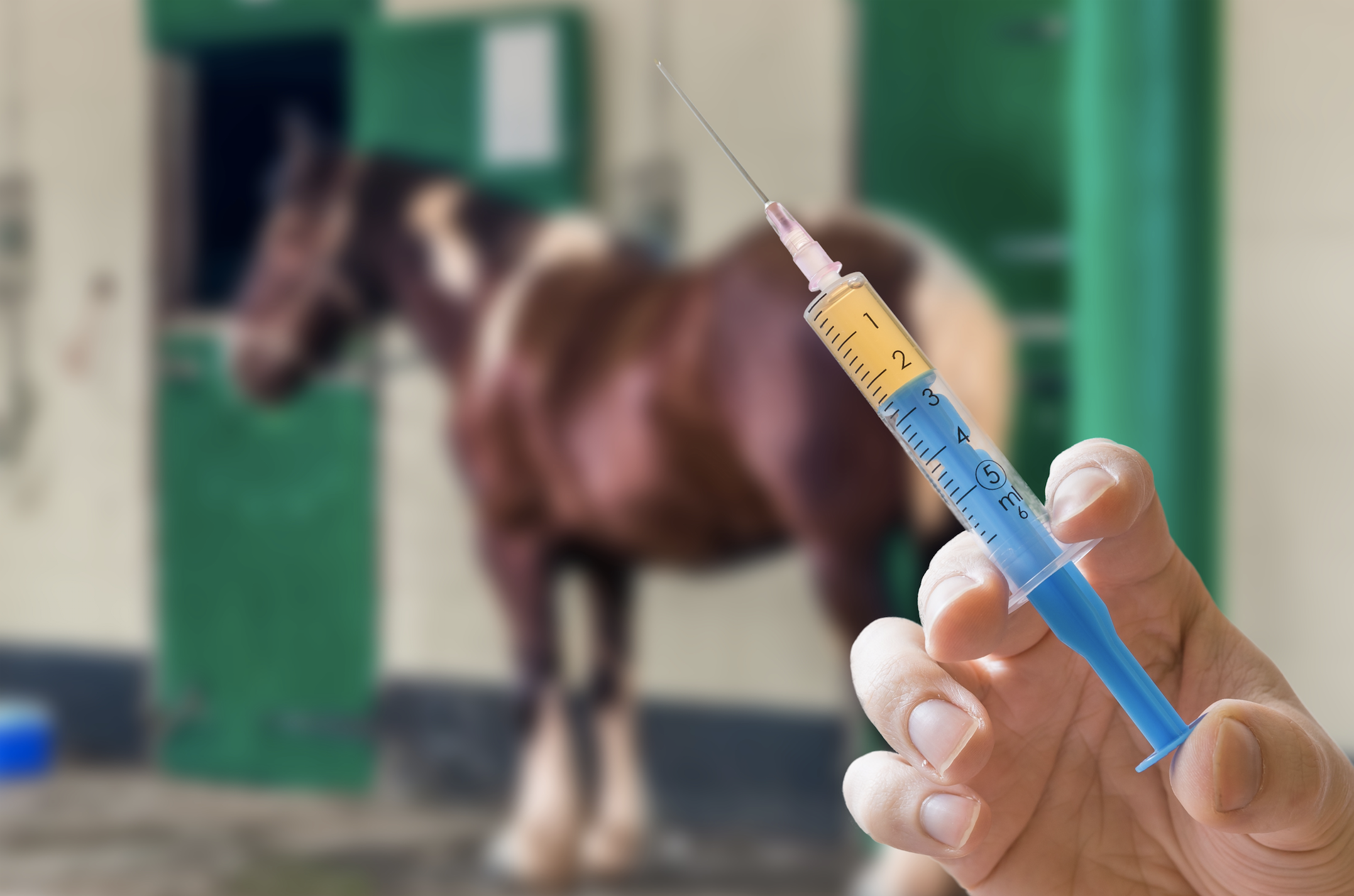 A person holding up a syringe with a horse in the background